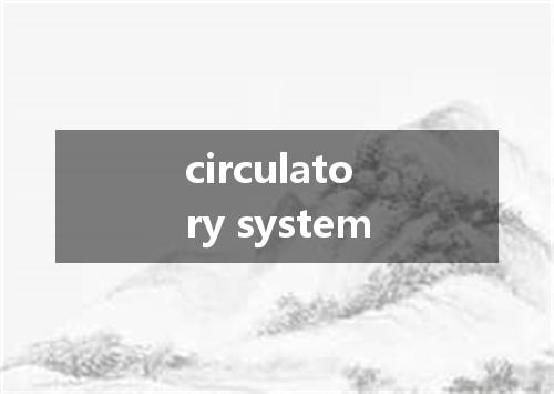 circulatory system是什么意思