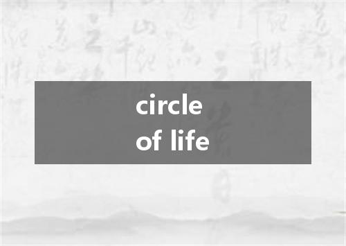 circle of life是什么意思