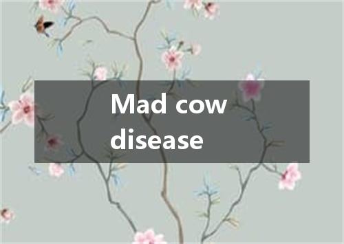 Mad cow disease是什么意思