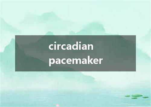 circadian pacemaker是什么意思