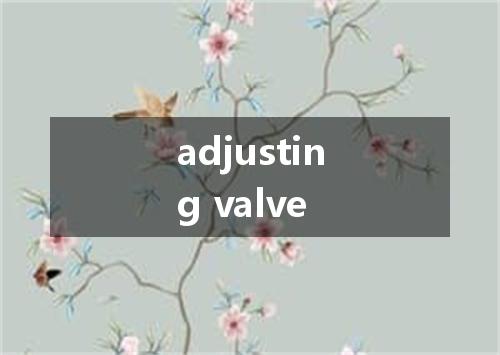 adjusting valve是什么意思