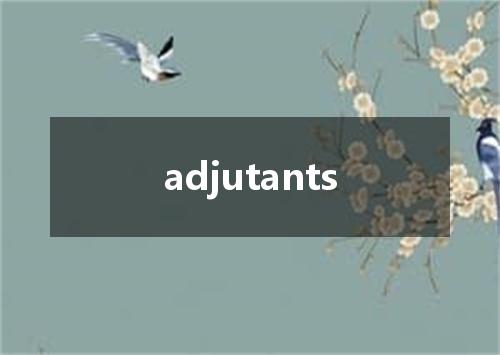 adjutants是什么意思