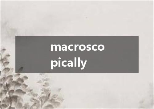 macroscopically是什么意思
