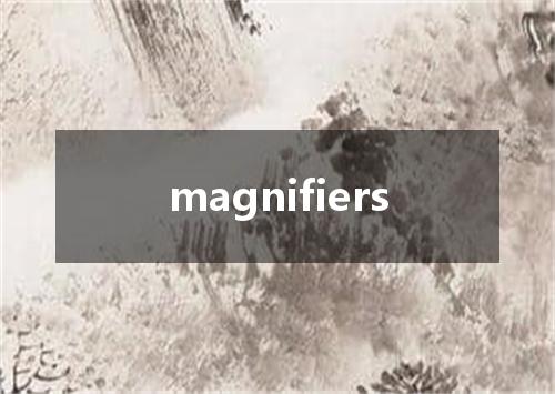 magnifiers是什么意思