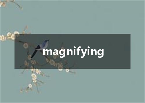 magnifying是什么意思
