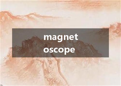 magnetoscope是什么意思