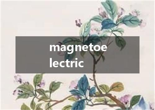 magnetoelectric是什么意思