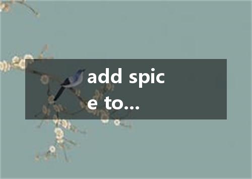 add spice to...是什么意思