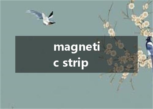 magnetic strip是什么意思
