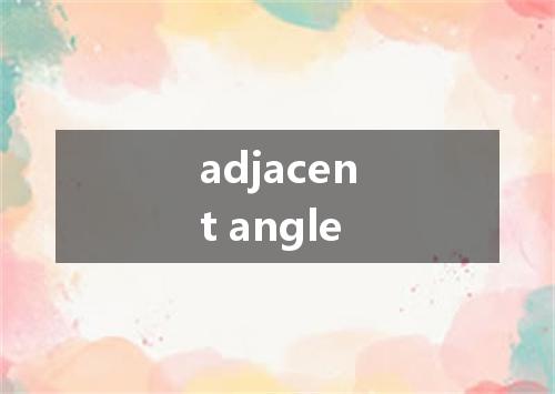 adjacent angle是什么意思