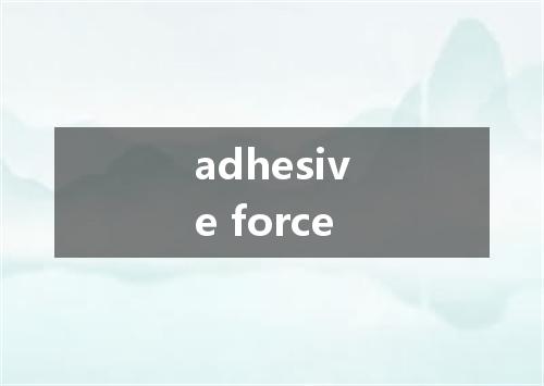 adhesive force是什么意思