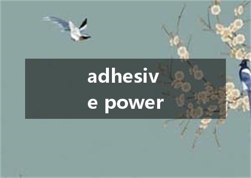 adhesive power是什么意思