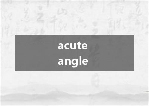 acute angle是什么意思