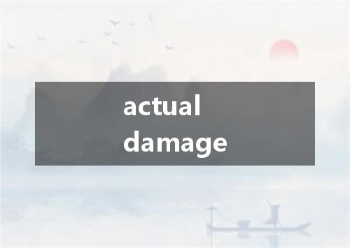 actual damage是什么意思