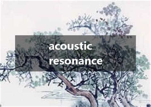 acoustic resonance是什么意思