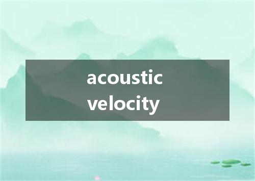 acoustic velocity是什么意思