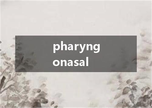pharyngonasal是什么意思