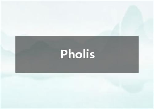 Pholis是什么意思