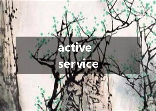 active service是什么意思