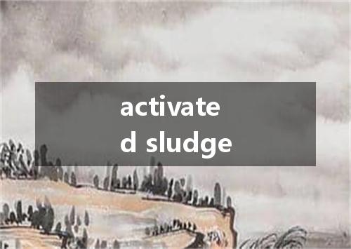 activated sludge是什么意思