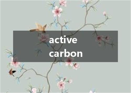 active carbon是什么意思