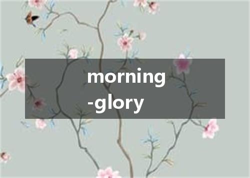 morning-glory是什么意思