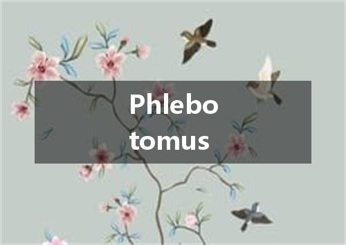 Phlebotomus是什么意思