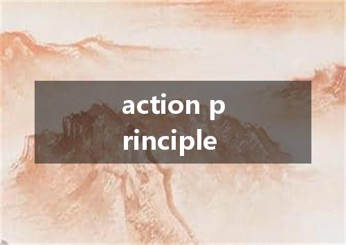 action principle是什么意思