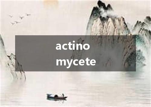 actinomycete是什么意思