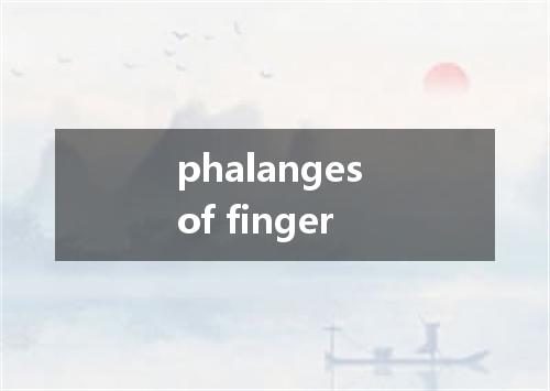 phalanges of finger是什么意思
