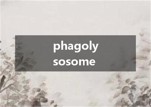 phagolysosome是什么意思
