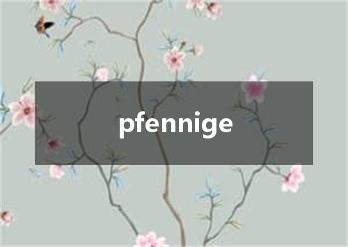 pfennige是什么意思