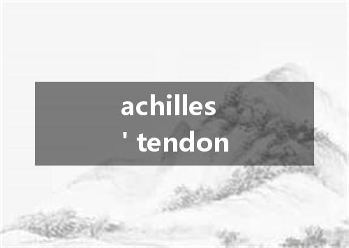 achilles' tendon是什么意思