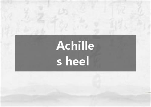 Achilles heel是什么意思