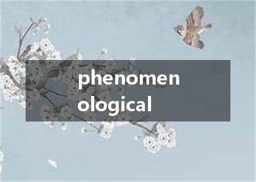 phenomenological是什么意思
