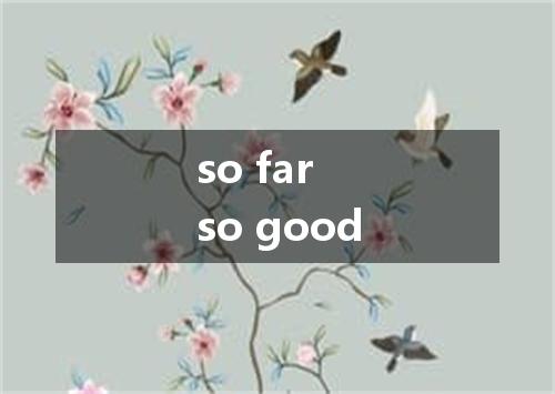 so far so good是什么意思