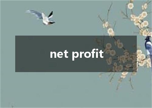 net profit是什么意思