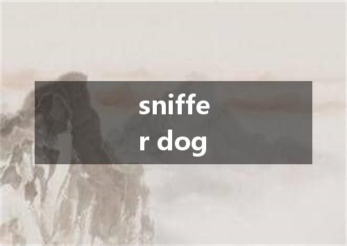 sniffer dog是什么意思