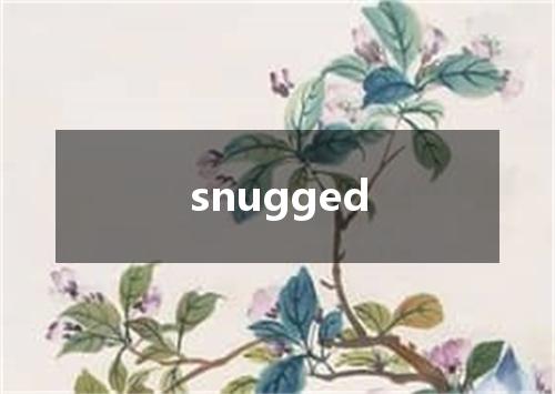 snugged是什么意思