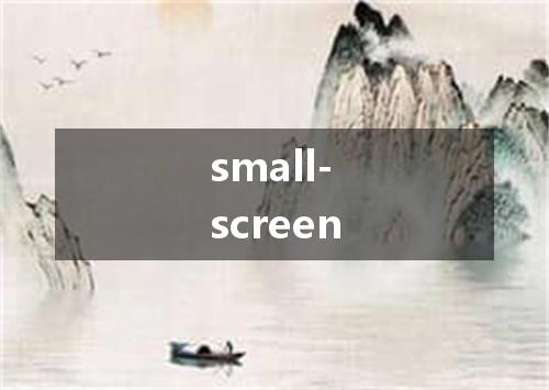 small-screen是什么意思