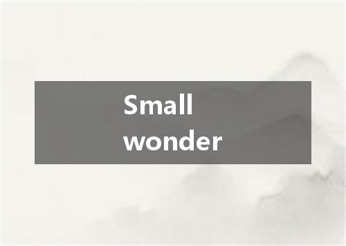 Small wonder是什么意思