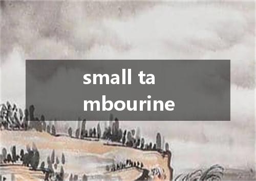 small tambourine是什么意思