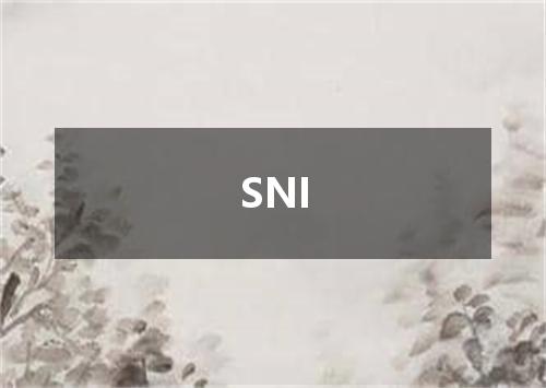 SNI是什么意思