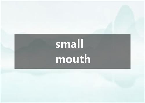 small mouth是什么意思