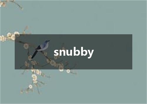 snubby是什么意思
