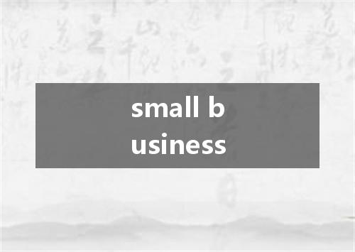small business是什么意思