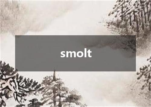 smolt是什么意思