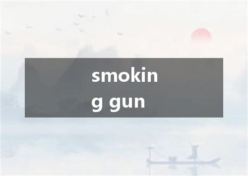 smoking gun是什么意思