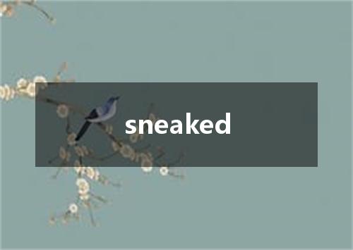 sneaked是什么意思