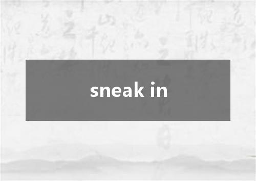 sneak in是什么意思